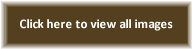 Brown button link that will take you to the thumbnail images of this type collection.